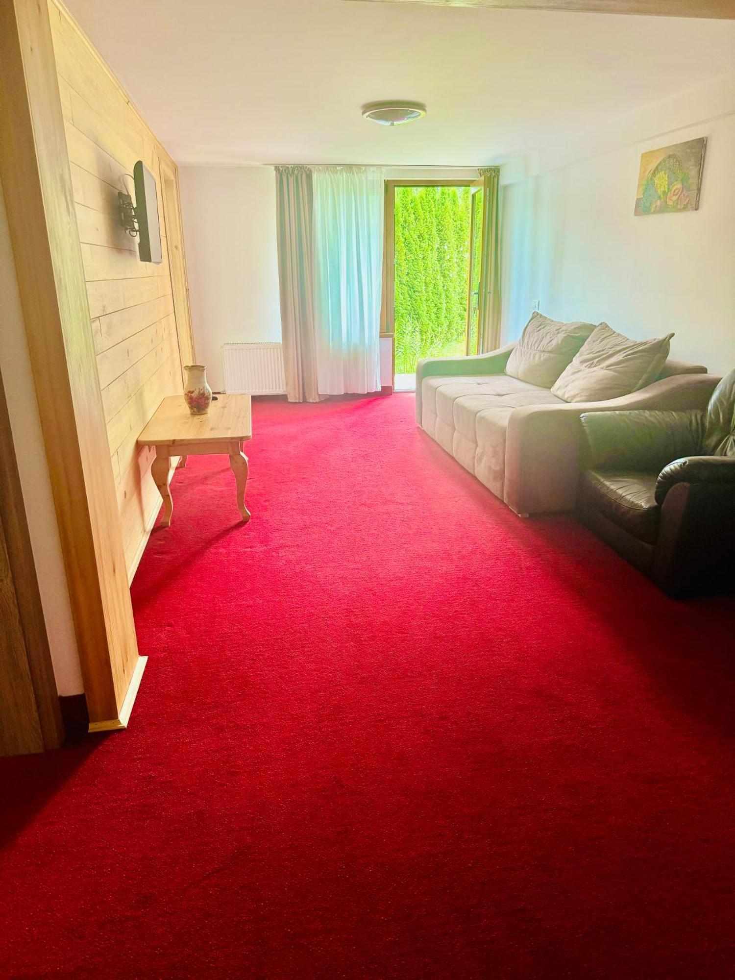 Casa Belcin Spa&Retreat Buşteni 外观 照片