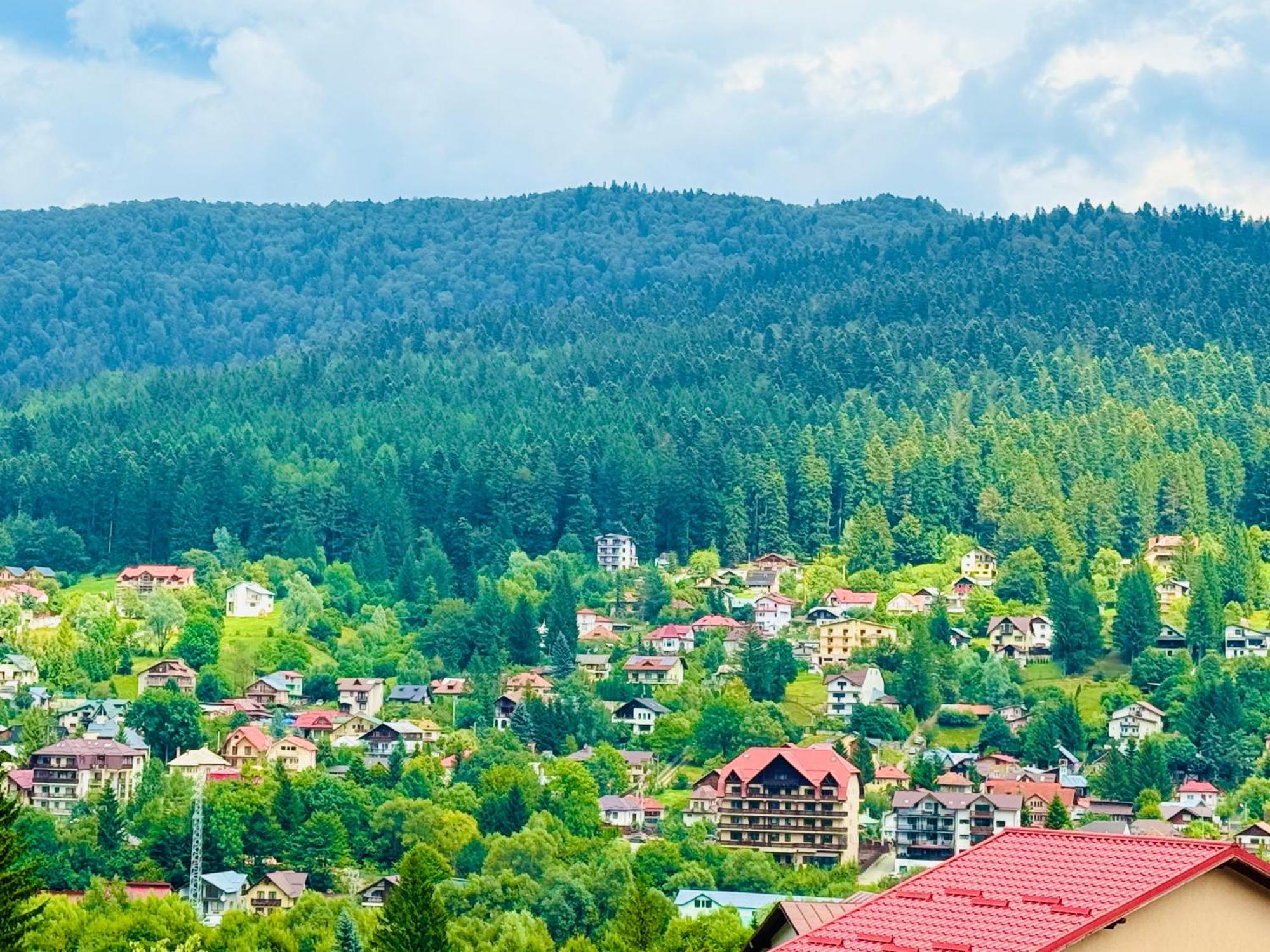 Casa Belcin Spa&Retreat Buşteni 外观 照片