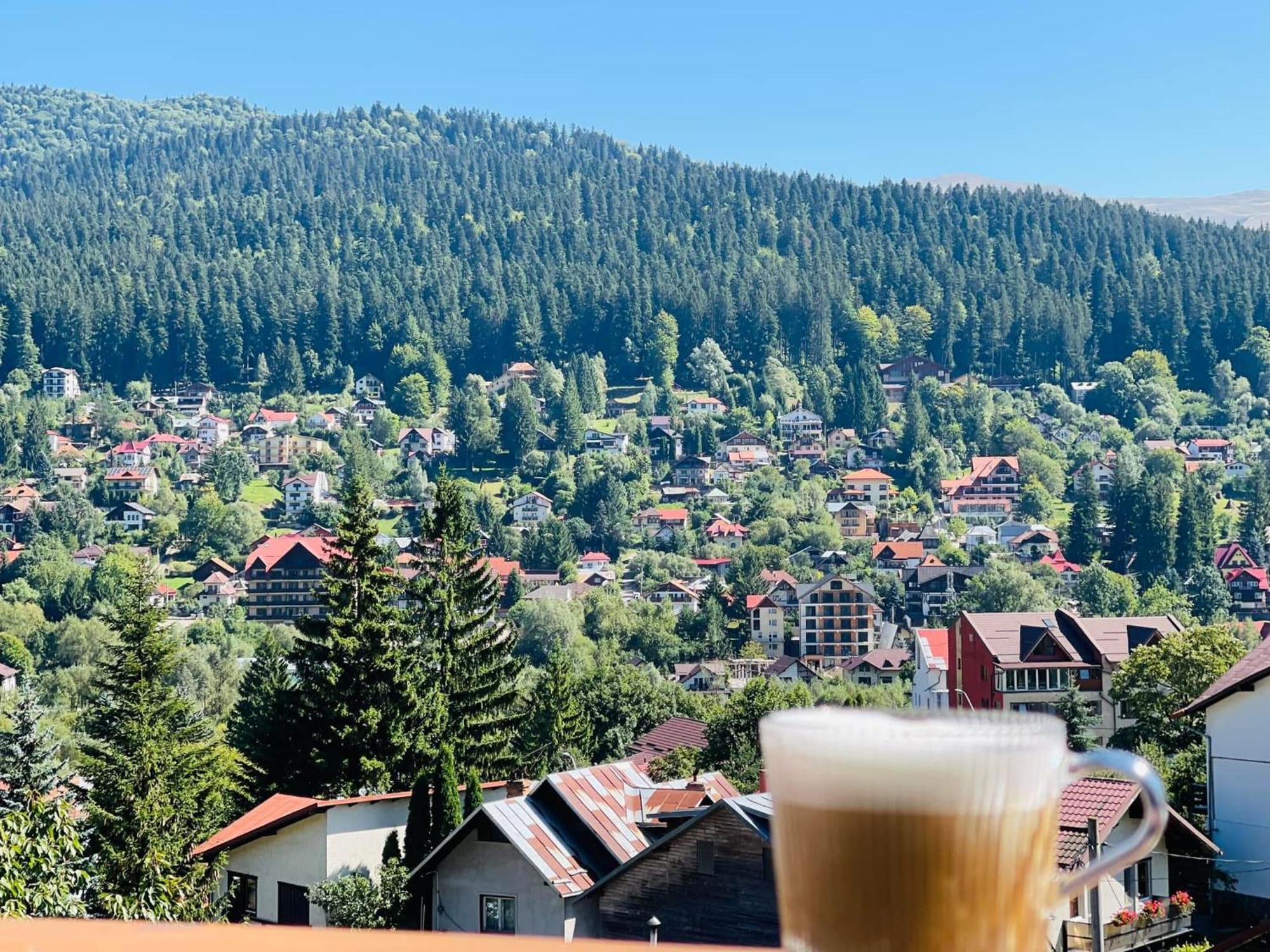 Casa Belcin Spa&Retreat Buşteni 外观 照片