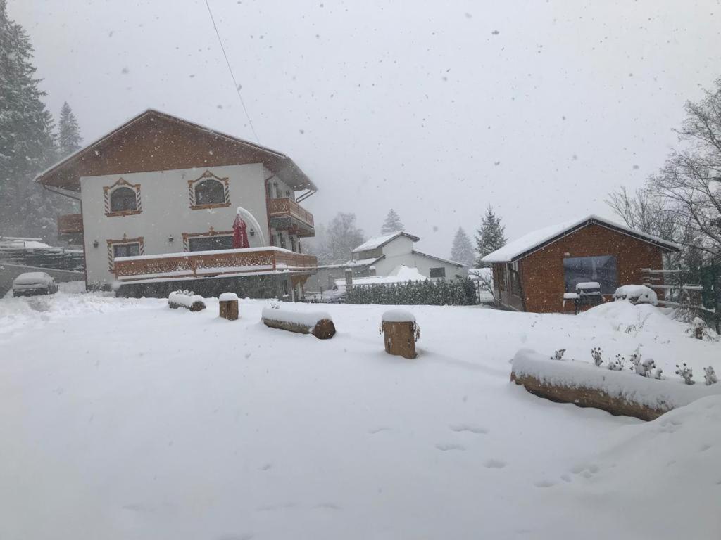 Casa Belcin Spa&Retreat Buşteni 外观 照片