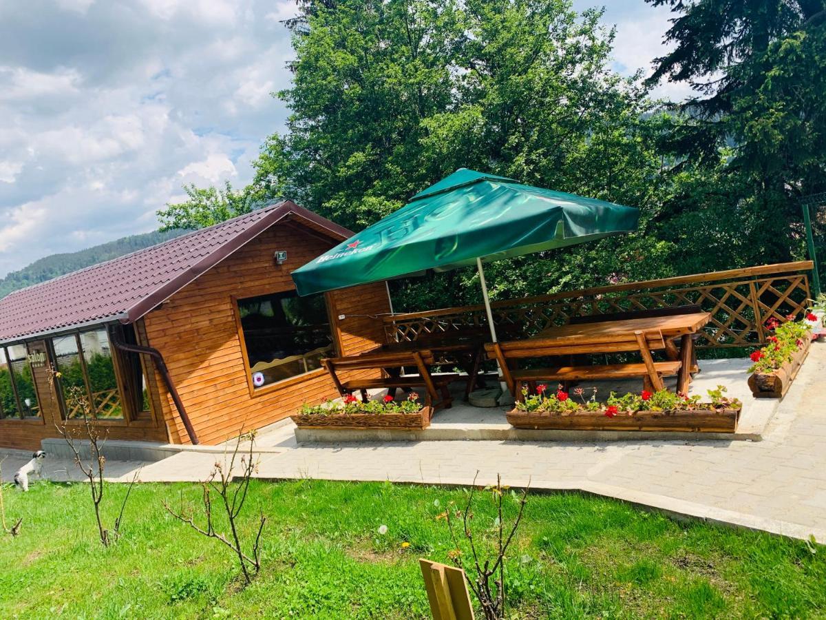 Casa Belcin Spa&Retreat Buşteni 外观 照片